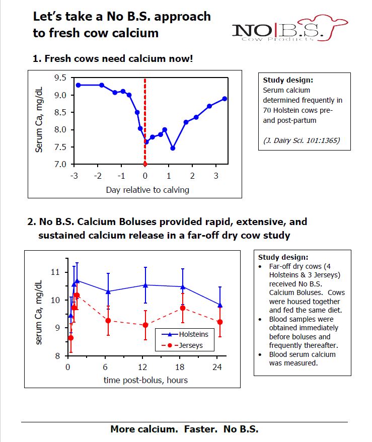 No B.S. Calcium Bolus